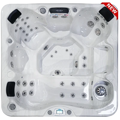 Avalon-X EC-849LX hot tubs for sale in Saint Paul