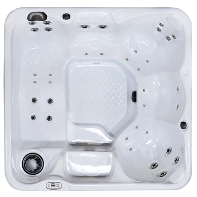 Hawaiian PZ-636L hot tubs for sale in Saint Paul